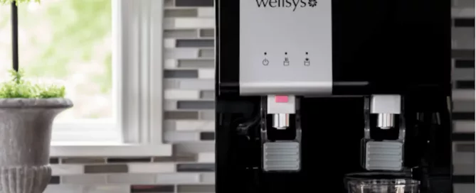 wellsys countertop option